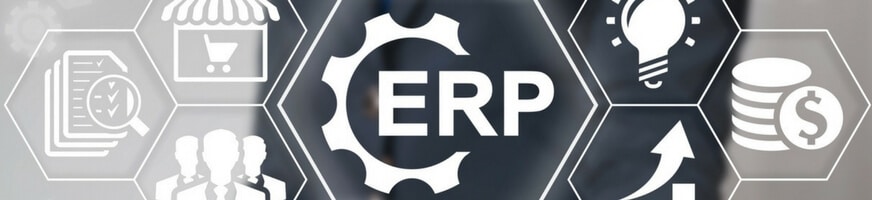 custom ERP development