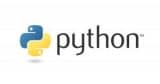 python software